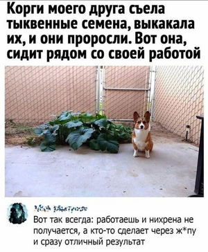 1756627899758.png