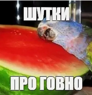 1756832494984.png