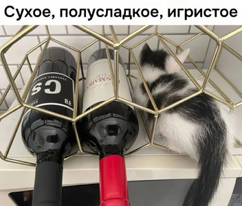 1757153601475.png