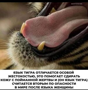 IMG_20250910_122846_614.jpg