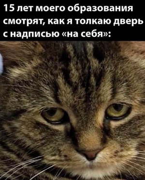 1758447502781.png