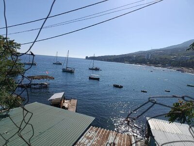 IMG_20251002_114648_770.jpg