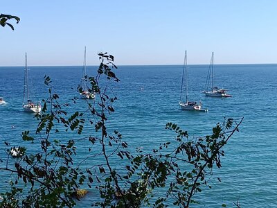 IMG_20251002_114645_540.jpg
