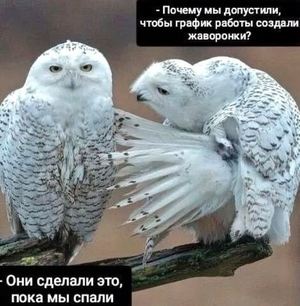 1759740972587.png