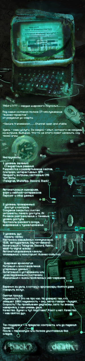 banner.jpg