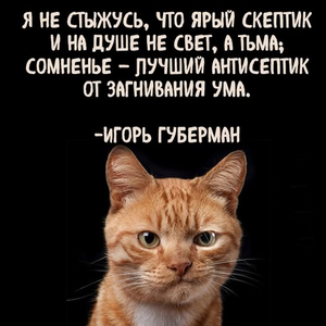 1760423141193.png