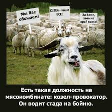images (75).jpeg