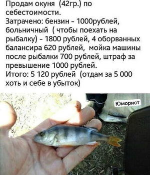 1760778943330.png