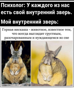 1761039905081.png