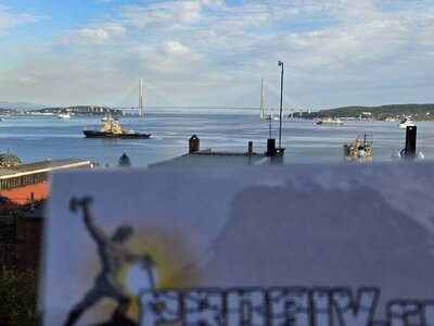 1 (17).jpg 1 (17).jpg