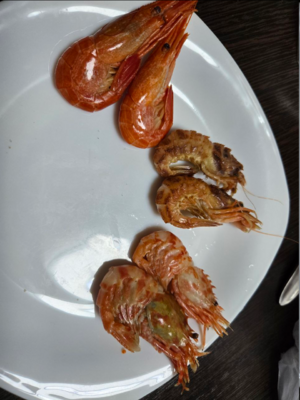 1762178030702.png 1762178030702.png