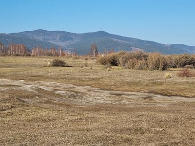 1762606082608.jpeg 1762606082608.jpeg