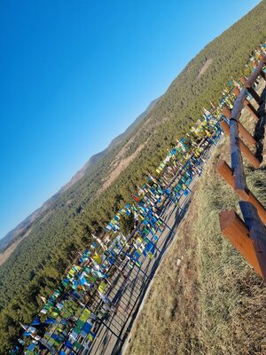 1762606121741.jpeg 1762606121741.jpeg