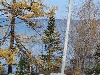 1762608413621.jpeg 1762608413621.jpeg