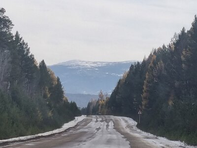 1762609809834.jpeg 1762609809834.jpeg