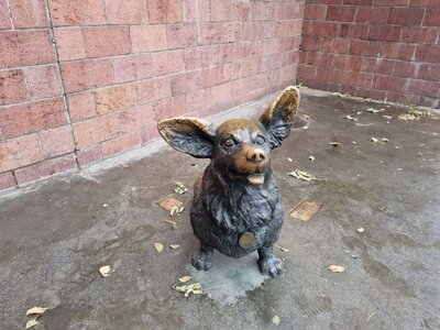 0 (12).jpg 0 (12).jpg