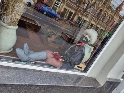 0 (13).jpg 0 (13).jpg