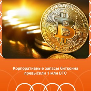 Сегодня 11.12.2025..jpg Сегодня 11.12.2025..jpg