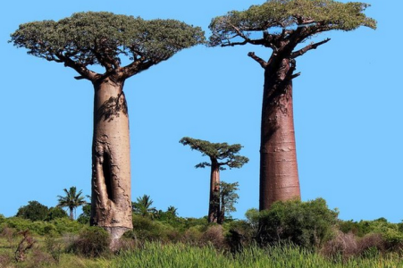 1765458934339.png 1765458934339.png