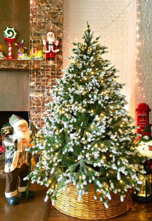 1766661134324.png 1766661134324.png