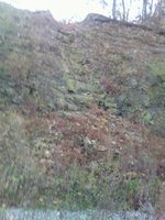 IMG_20161015_181825 - копия.jpg