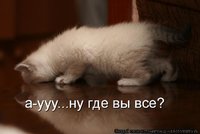 IMG_0630.JPG