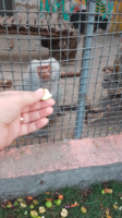 Снимок экрана от 2016-10-18 22:51:43.png
