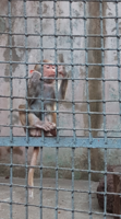 Снимок экрана от 2016-10-18 22:51:23.png