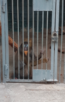 Снимок экрана от 2016-10-18 22:57:03.png