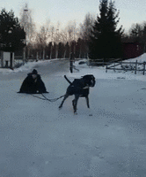 1473864201_25.gif
