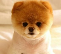 IMG-20161020-WA0030.jpg