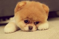 IMG-20161020-WA0031.jpg