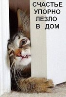 UbQkhXNTTOU.jpg