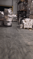 NiT.gif