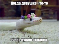FB_IMG_1477254513697.jpg