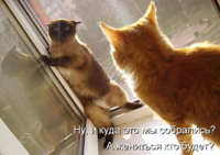 Снимок экрана от 2016-10-24 22:29:15.png