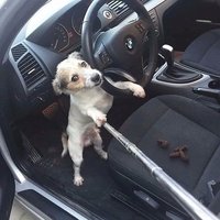 HP8Kq1G0j1E.jpg HP8Kq1G0j1E.jpg