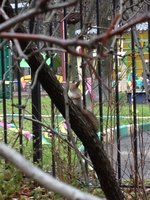 IMG_3153.JPG