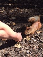 IMG_7292.JPG