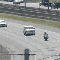 best_video_prezident.gif