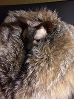 IMG_0107.JPG