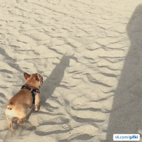 ezgif_com-optimize_11.gif