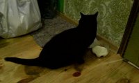 IMG_20161117_181549.jpg