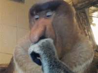 vk_com_v_korche.gif