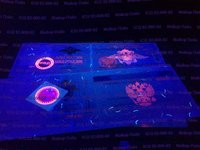 d01a53430d40.jpg
