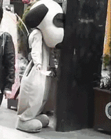 best_video_listovki.gif