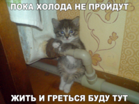 IMG_0501.PNG