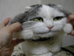 1070708174544.gif