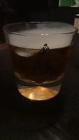 trim.0E57D09D-F5E2-47CE-9110-4DBEBE9B5860.gif