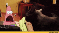 Jenga-80-lvl-гифки-1580300.gif